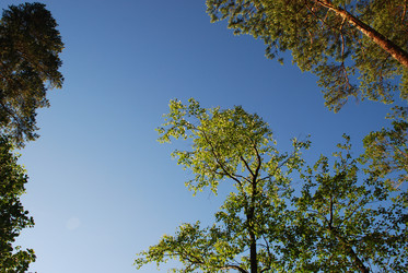 Similar image 22282405