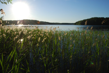 Similar image 22282406