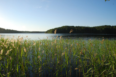 Similar image 22282408