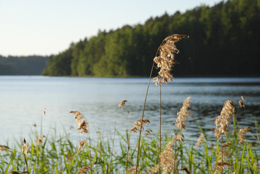 Similar image 22282409