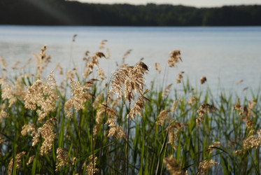 Similar image 22282410