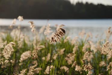 Similar image 22282411