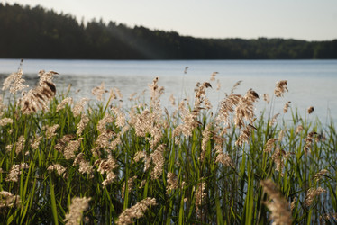 Similar image 22282413