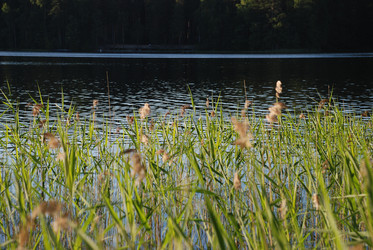 Similar image 22282414