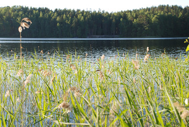 Similar image 22282415