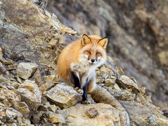 Similar image 22283148