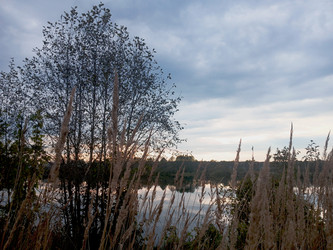 Similar image 22279817