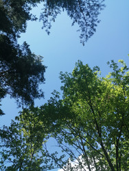 Similar image 22279818