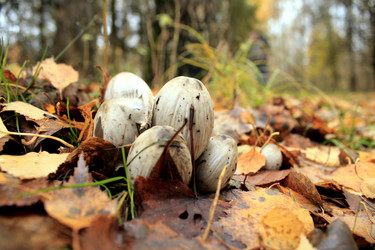 Similar image 22281406