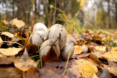 Similar image 22281407