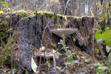 Similar image 22281408