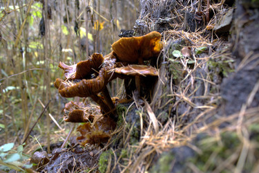 Similar image 22281409