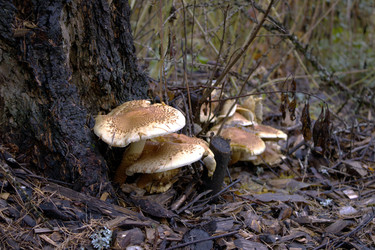 Similar image 22281410