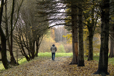 Similar image 22281412