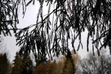 Similar image 22281416