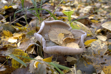 Similar image 22281420