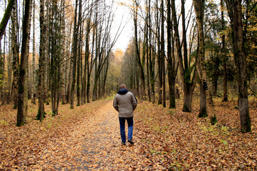 Similar image 22281422