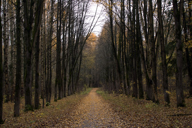 Similar image 22281423