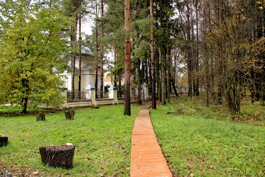 Similar image 22281425