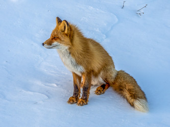 Similar image 22283149