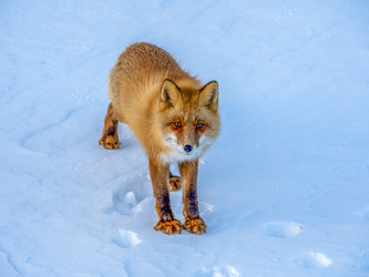 Similar image 22283150