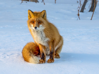 Similar image 22283151