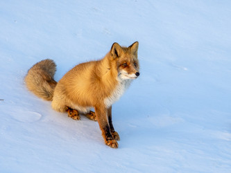 Similar image 22283153