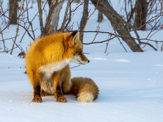 Similar image 22283154