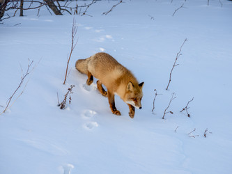 Similar image 22283156