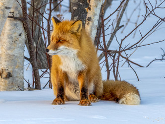 Similar image 22283157