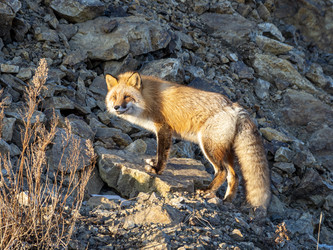 Similar image 22283161