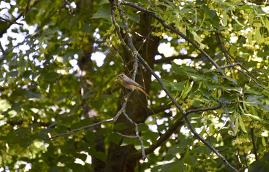 Similar image 22279799