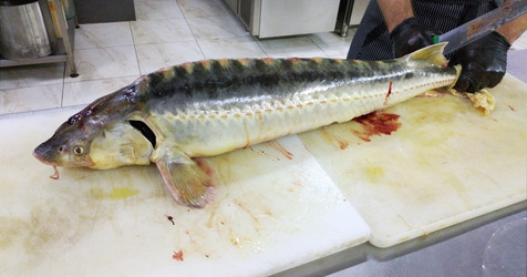 Similar image 22279801