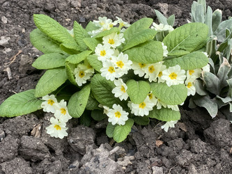 Similar image 22285740