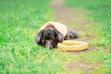 Similar image 22281191