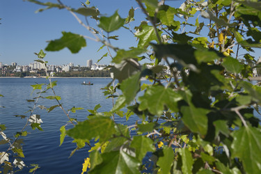 Similar image 22280098