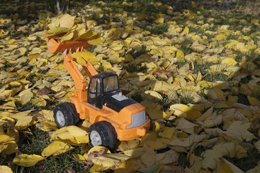 Similar image 22280099