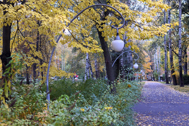 Similar image 22280100