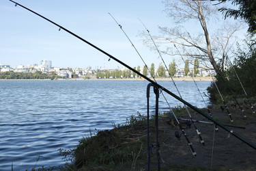 Similar image 22280101