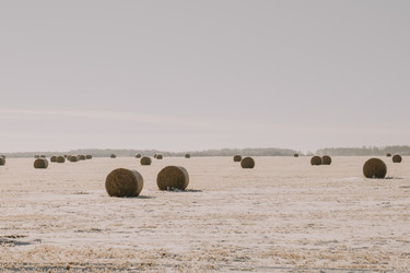 Similar image 22283294