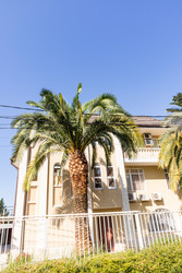 Similar image 22281451