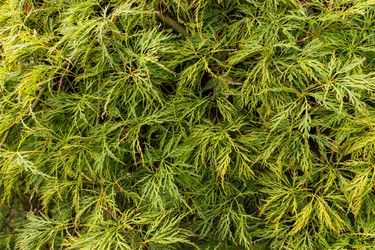 Similar image 22281453