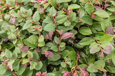 Similar image 22281454