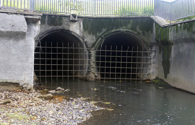 Similar image 22279819