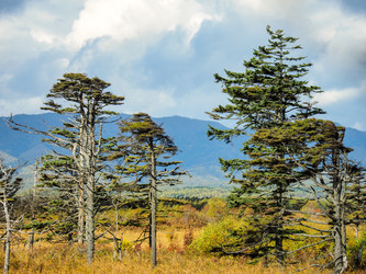 Similar image 22283162