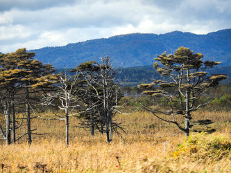 Similar image 22283163