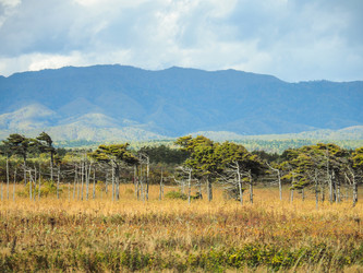 Similar image 22283164