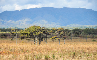 Similar image 22283165