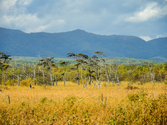 Similar image 22283166