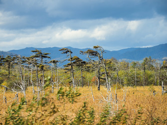 Similar image 22283167